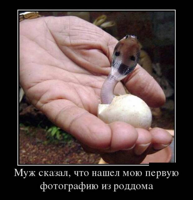 Демотиваторы (30 фото)