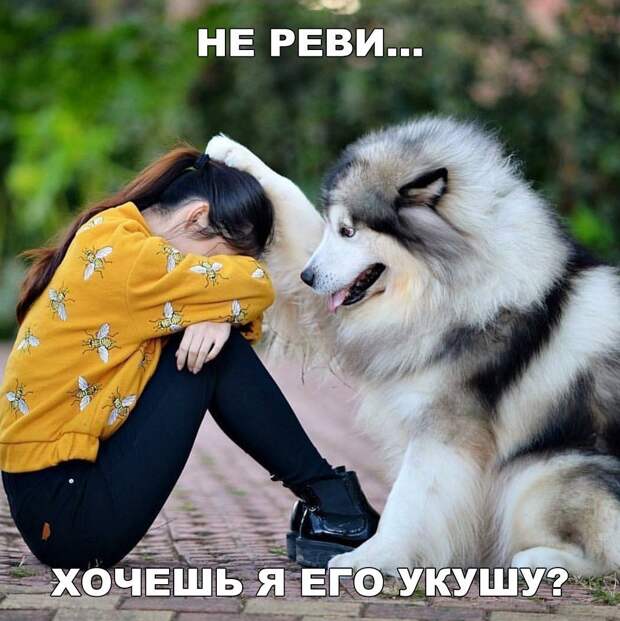 Юмор из интернета 254