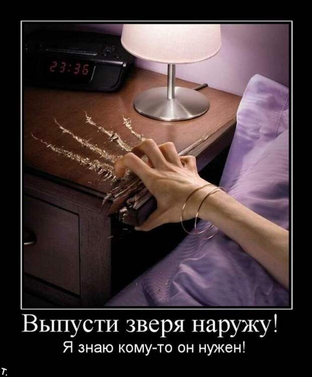 Подборка классных демотиваторов № 67