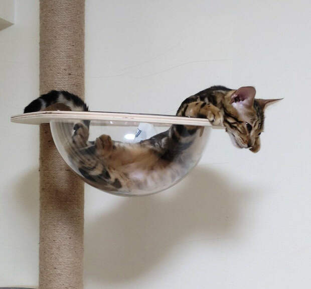 77877648_original (700x650, 285Kb)