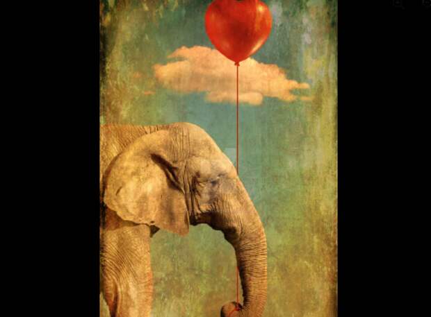 Лунный календарь на сегодня, 11 мая, среда