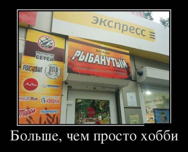 Демотиваторы (30 фото)