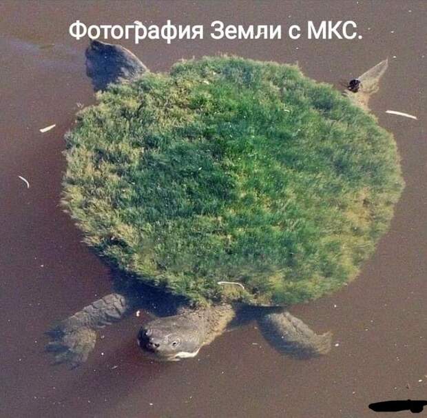Фотография земли