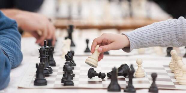 В выходные на ВДНХ впервые отметят Международный день шахмат. Фото: mos.ru