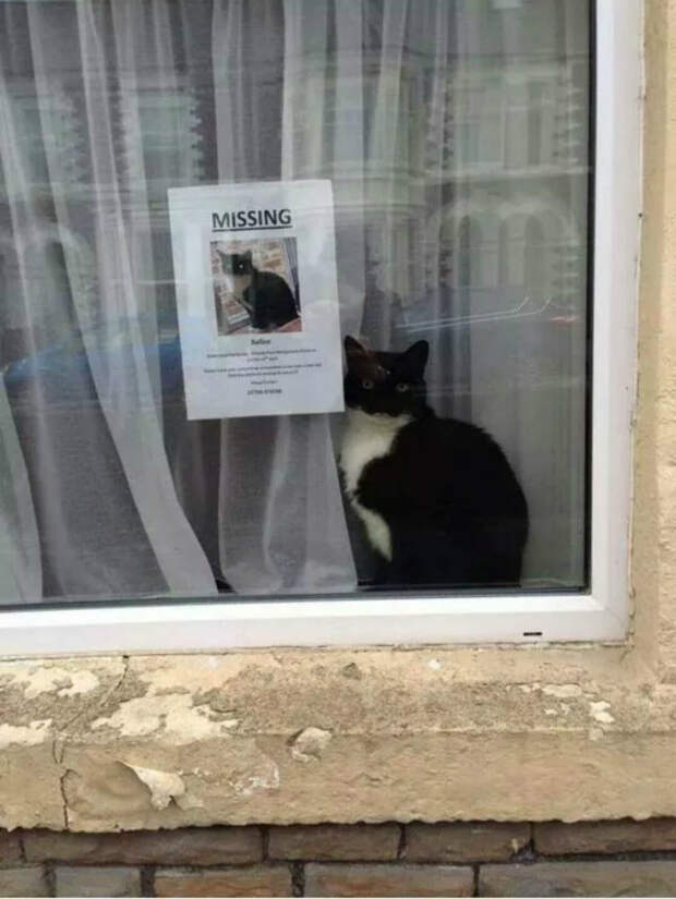 Пропажа.