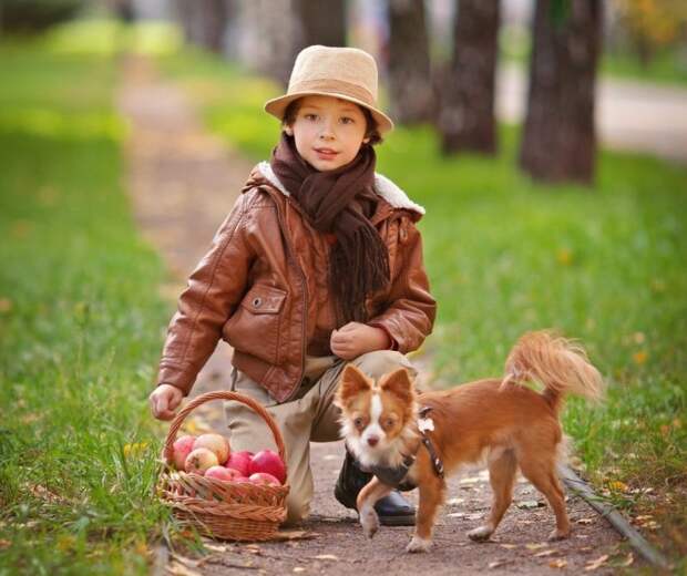 Выбрать собаку поможет кинолог/pixabay.com