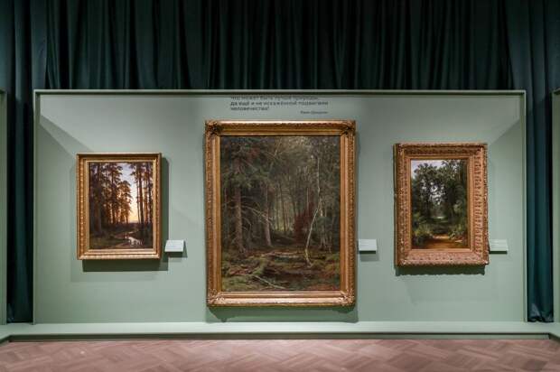 В Русском музее открылась выставка «Иван Шишкин. Русский лес»