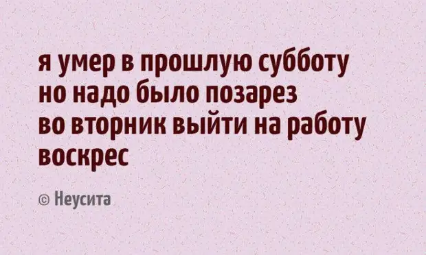 17 СТИШКОВ-ПИРОЖКОВ С НЕОЖИДАННЫМ КОНЦОМ, КОТОРЫЕ РАССМЕШАТ ВАС ДО СЛЕЗ