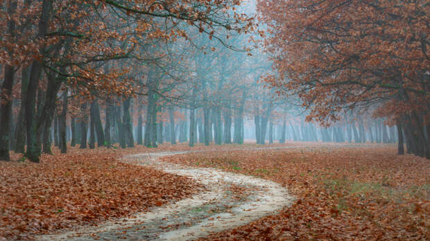 The end of autumn !!! by IONUT VILCELEANU on 500px.com