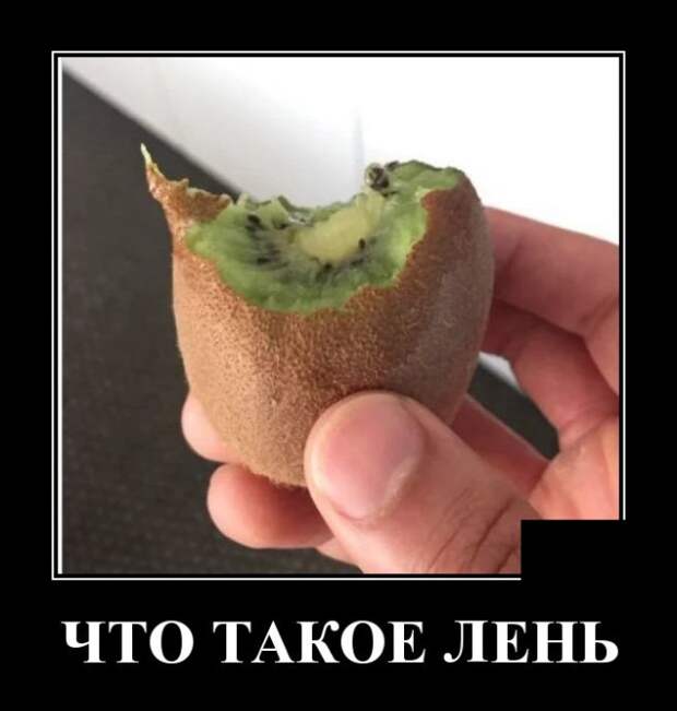 Демотиваторы (20 фото)