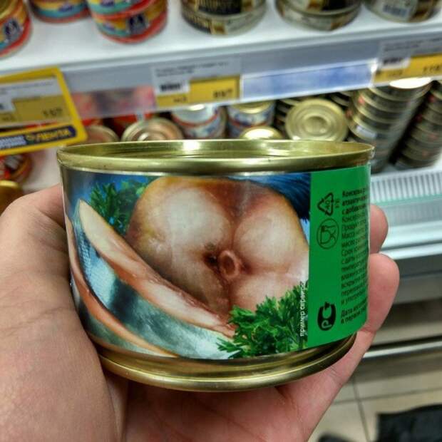 23 фотографии, на которые придётся взглянуть очень внимательно 23 фотографии, на которые придётся взглянуть очень внимательно