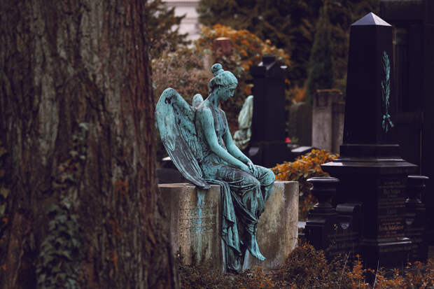 Фото © Unsplash / Veit Hammer