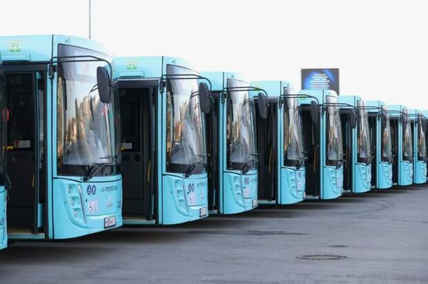 Еще шесть автобусов белорусского производства прибыли в Краснодар