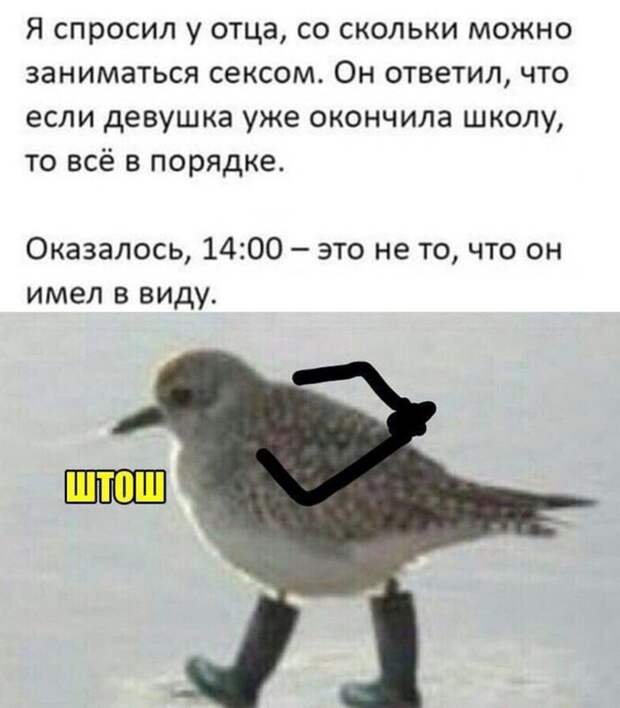 www.vsyako.net