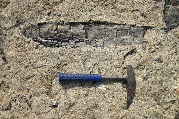 В Греции нашли деревянные орудия возрастом 430 тысяч лет