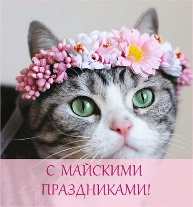 поздравления с майскими праздникми