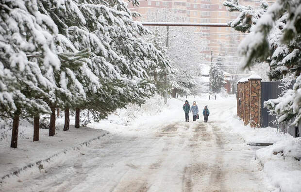 Метеопредупреждение: в Тульской области ожидается сильный снег, на дорогах заносы и гололедица