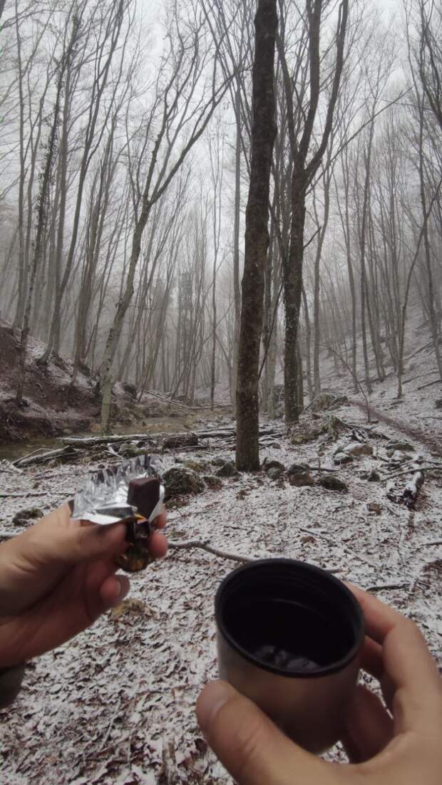 Прогулка по зимнему крымскому лесу. Невероятная атмосфера!