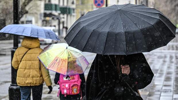 Синоптик Ильин спрогнозировал мокрый снег в Москве