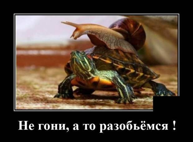 Демотиватор про скорость