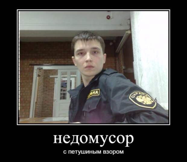 Картинки