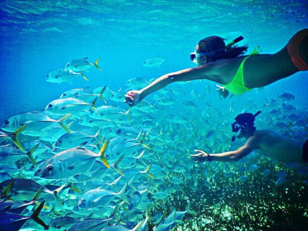 Snorkeling20 25 лучших мест для сноркелинга