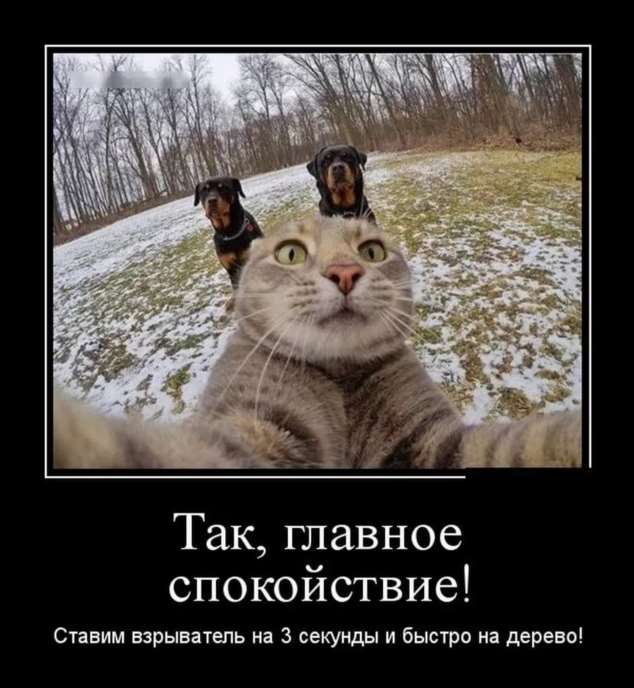 Прикольные демотиваторы с надписями. Подборка chert-poberi-dem-chert-poberi-dem-17530217102020-14 картинка chert-poberi-dem-17530217102020-14