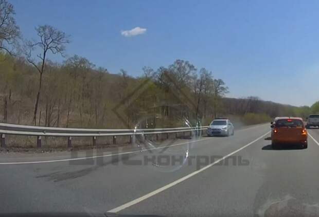 Медвежонка насмерть сбили на трассе в Приморье