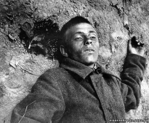 Немецкие солдаты о советских солдатах Немецкие солдаты о советских солдатах