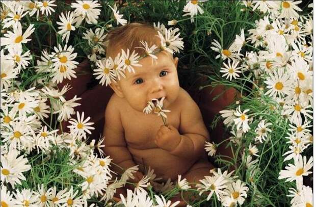 flower-baby (800x524, 85Kb)