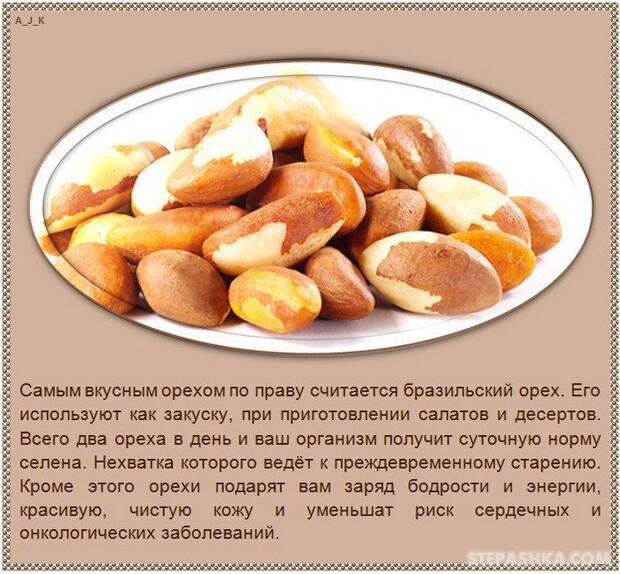 101540833335333nuts_08 (700x649, 125Kb)