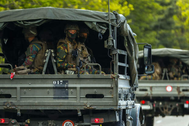 Министр обороны Бельгии признал, что НАТО иногда может быть "бумажным тигром"