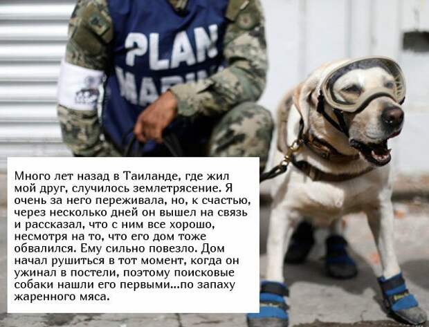 Истории пользователей социальных сетей прикол, соцсети, юмор