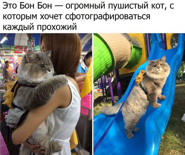 Веселые и эмоциональные картинки с надписями (11 фото) Веселые и эмоциональные картинки с надписями (11 фото)