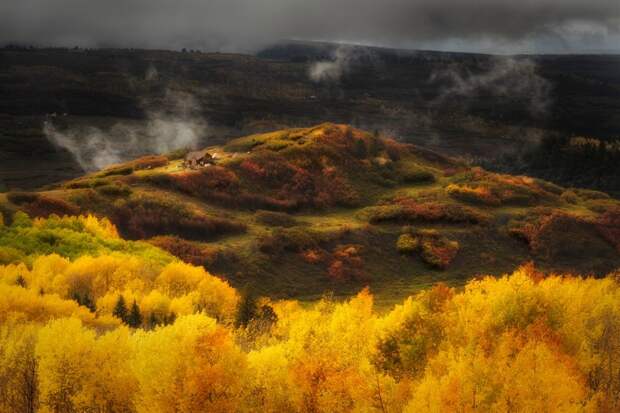 Краски осени Краски осени