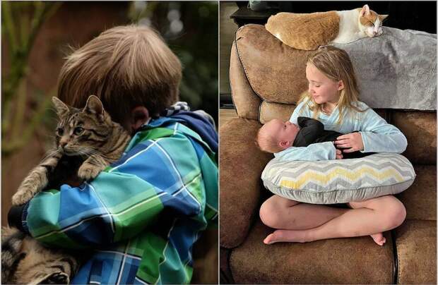14 милых снимков о том, как подружить кошку с ребенком 14 милых снимков о том, как подружить кошку с ребенком