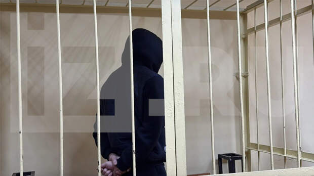 Суд в Смоленске арестовал обвиняемого в похищении девятилетней девочки