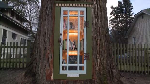 https://img.lifter.world/data/2019/jan/164/dead-tree-little-free-library-sharalee-armitage-howard-24.jpg