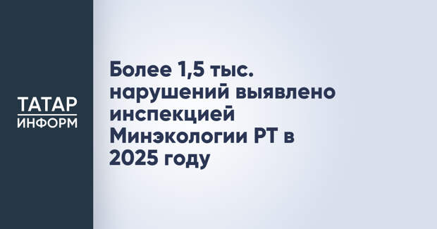 Более 1,5 тыс. нарушений выявлено инспекцией Минэкологии РТ в 2025 году