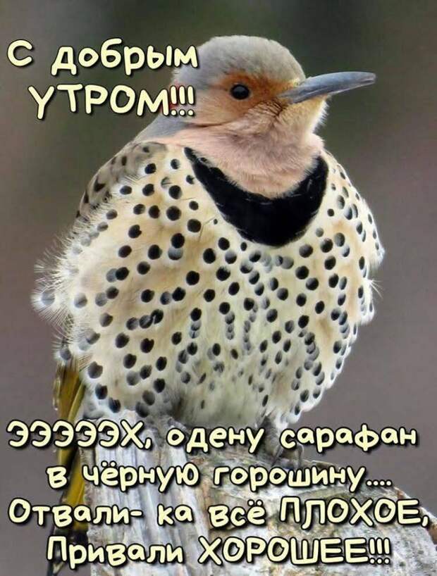 Встречаются два одноклассника, не виделись аж со школы, ужасно интересно, что, да как...