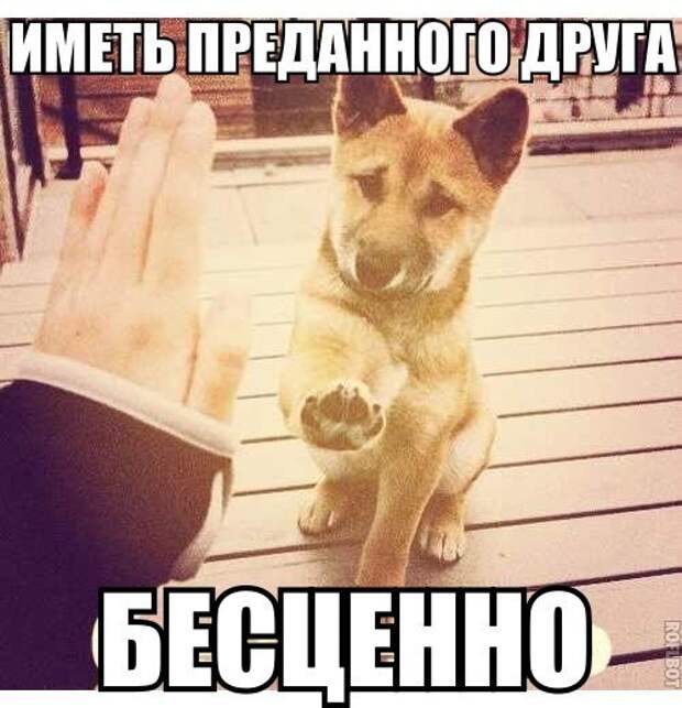 Всяко - разно 45 ))) Всяко - разно 45 )))