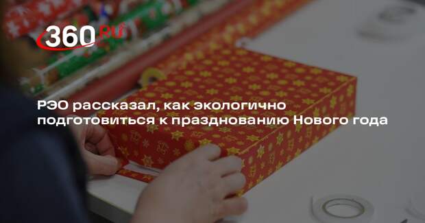 РЭО рассказал, как экологично подготовиться к празднованию Нового года