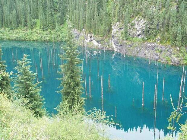 Затопленный лес озера Каинды, Кайнды, (Lake Kaindy), Казахстан