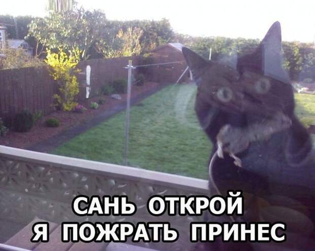 Прикольные картинки с надписями для поднятия настроения (11 фото) Прикольные картинки с надписями для поднятия настроения (11 фото)