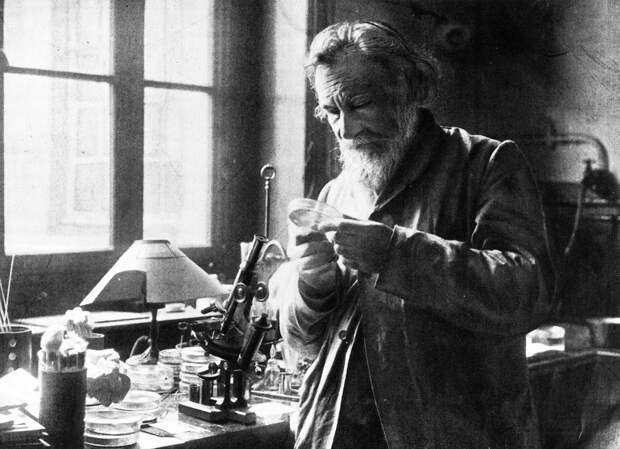 5 русских врачей, которые изменили историю