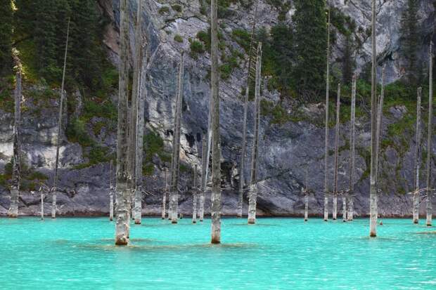 Затопленный лес озера Каинды, Кайнды, (Lake Kaindy), Казахстан