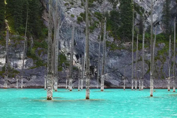 Затопленный лес озера Каинды, Кайнды, (Lake Kaindy), Казахстан