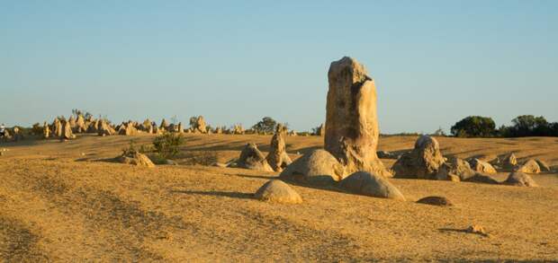 Пинаклс: пустыня остроконечных башенок австралия, пустыни, путешествия
