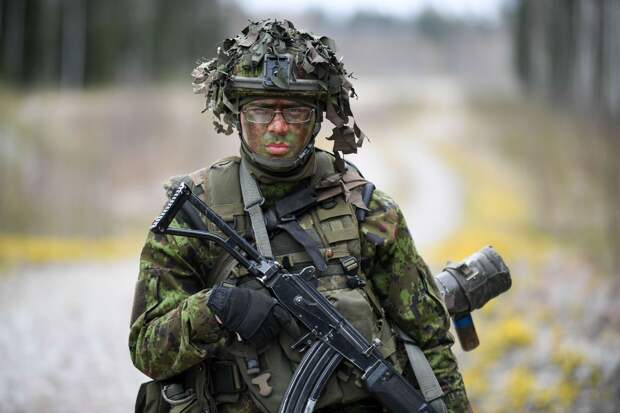 Эстония примет участие в учениях в Гренландии, несмотря на угрозы Трампа