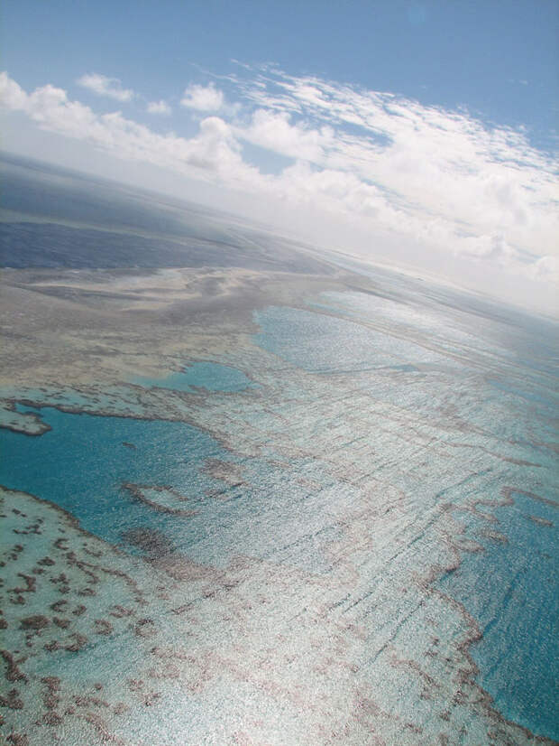 Рейтинг самых удивительных коралловых рифов в мире